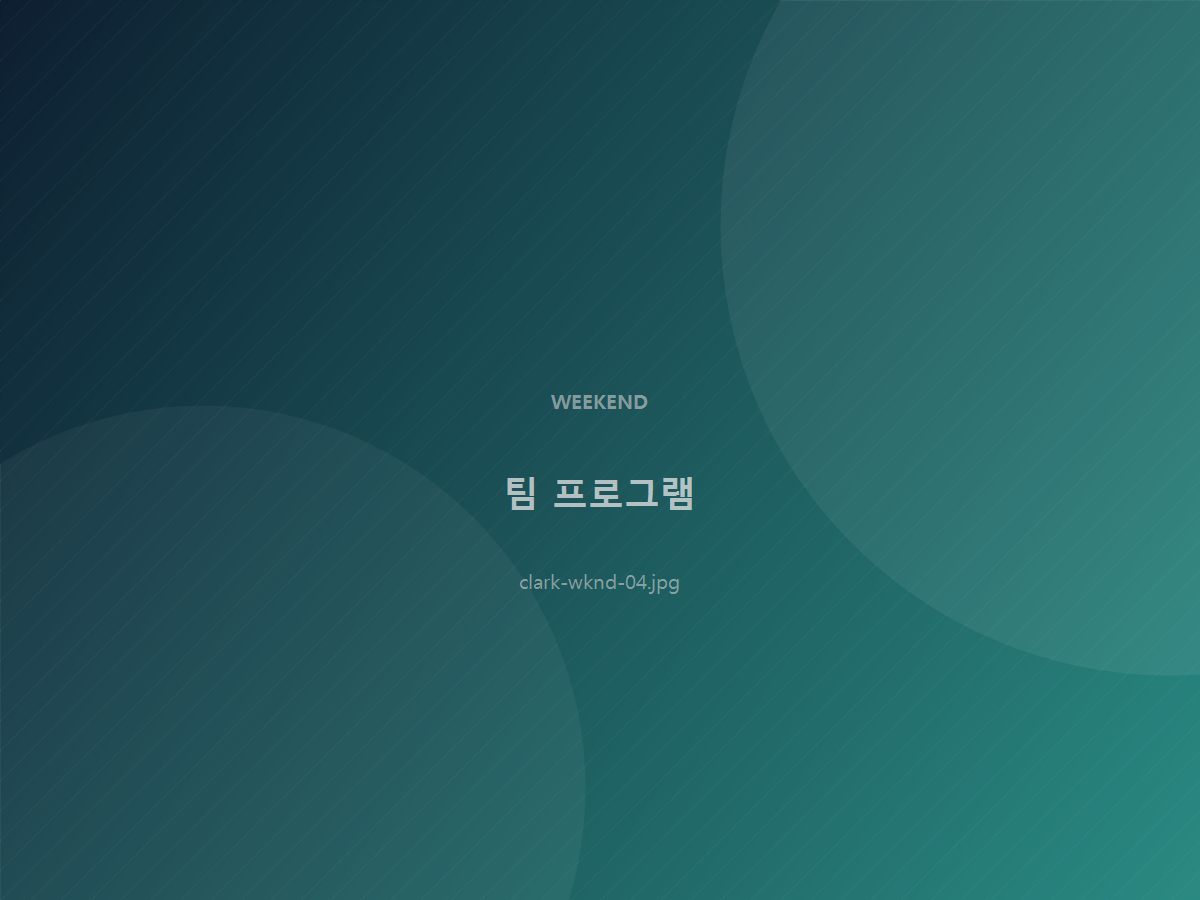 팀 프로그램