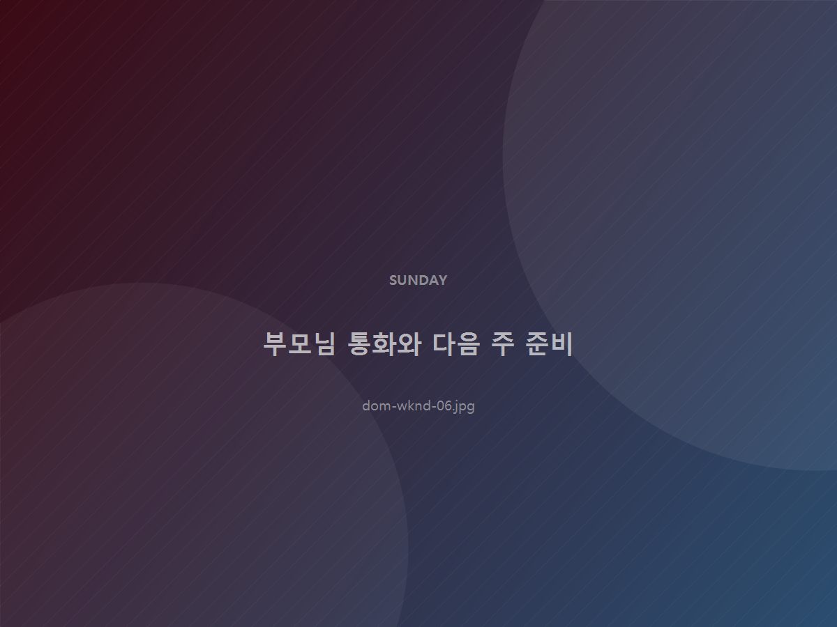 생활 정비 및 부모님 통화